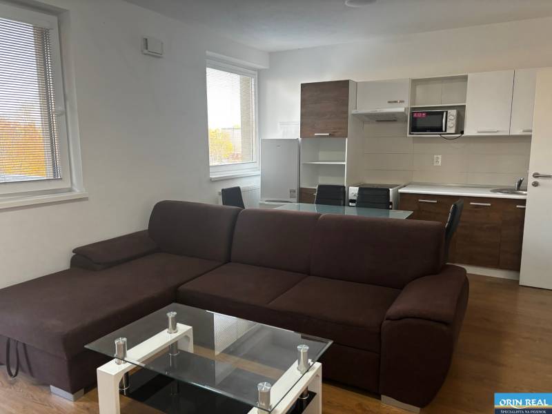 Wohnzimmer mit Küchenzeile, braunem Sofa und Holzboden in einer 2-Zimmer-Wohnung.