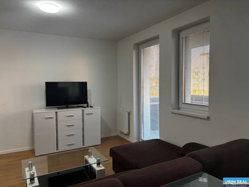 Wohnzimmer in einer Zweizimmerwohnung mit Sofa, Fernseher und Holzboden.