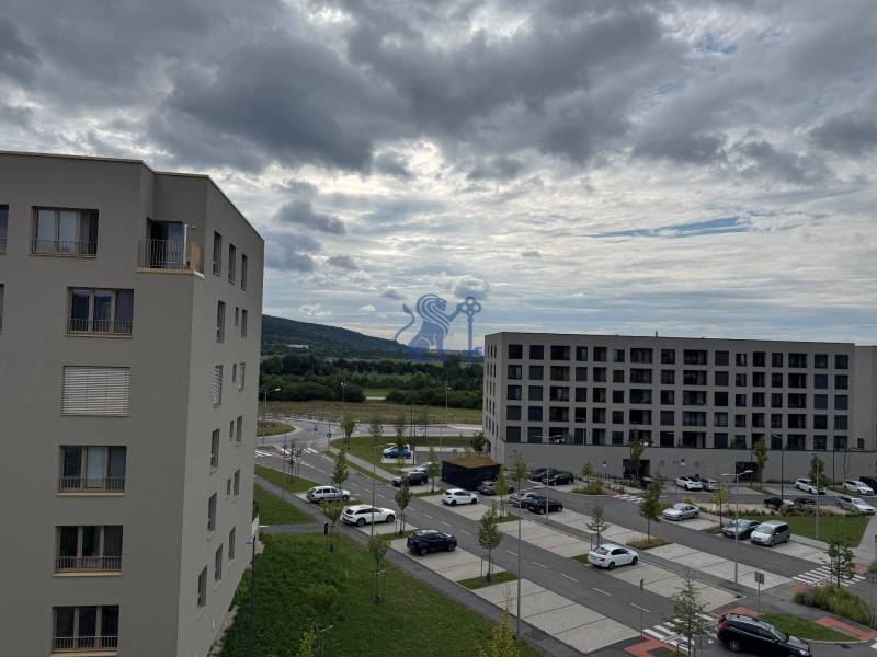 výhľad Bory prenájom