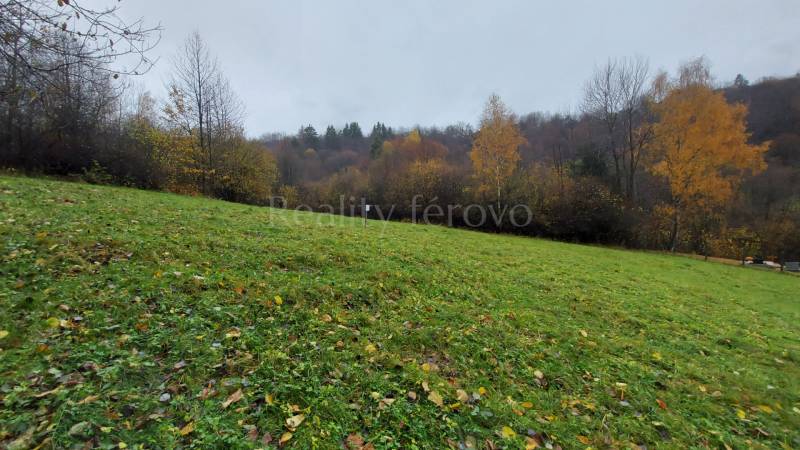 Das Grün auf den Erholungsgrundstücken von Konská in Podhradí mit herbstlichen Bäumen im Hintergrund.