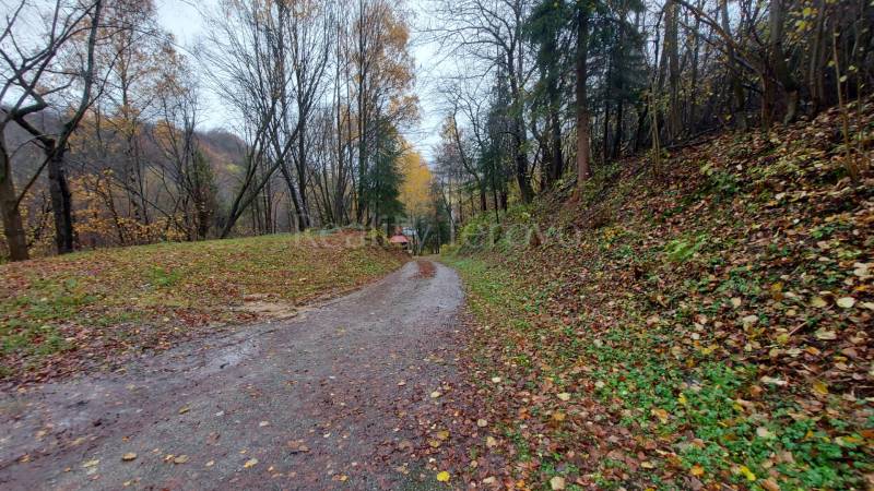 Herbstlicher Waldweg auf den Erholungsgrundstücken in der Konská-Straße in Podhradí.