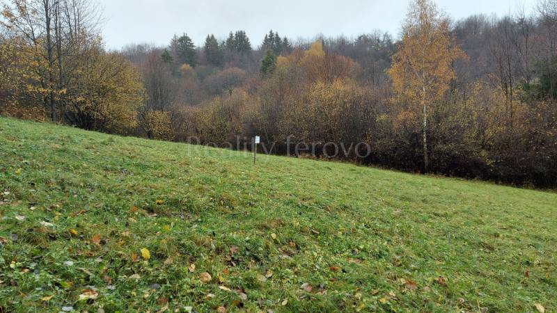 Herbst auf der Wiese im Dorf Podhradie, Konské, umgeben von dichtem Wald der Erholungsgrundstücke.