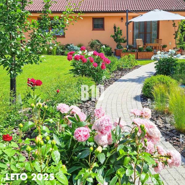 Der Garten des Einfamilienhauses in Bílkové Humence mit rosa Pfingstrosen und einem Gehweg.