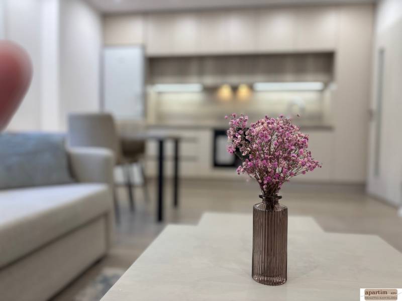 Wohnzimmer mit Küche und Blumen auf dem Tisch in einer Zweizimmerwohnung.