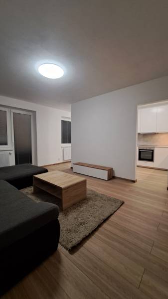 Wohnzimmer in einer Zweizimmerwohnung mit Holzboden und einfacher Einrichtung.