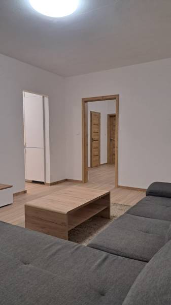 Wohnzimmer in einer Zweizimmerwohnung mit Sofa und Holzboden.
