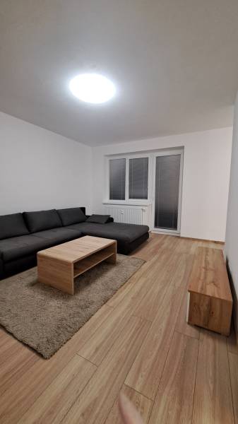 Wohnzimmer mit dunklem Sofa, Couchtisch und Holzboden in einer Zweizimmerwohnung.