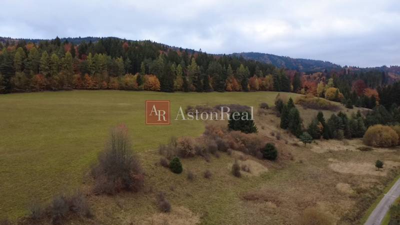 Herbst auf den Erholungsgrundstücken in Lazy pod Makytou-Čertov mit Wald im Hintergrund.