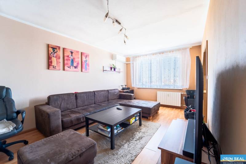 Wohnzimmer in einer 3-Zimmer-Wohnung mit Holzboden, braunen Möbeln und Dekorationen.