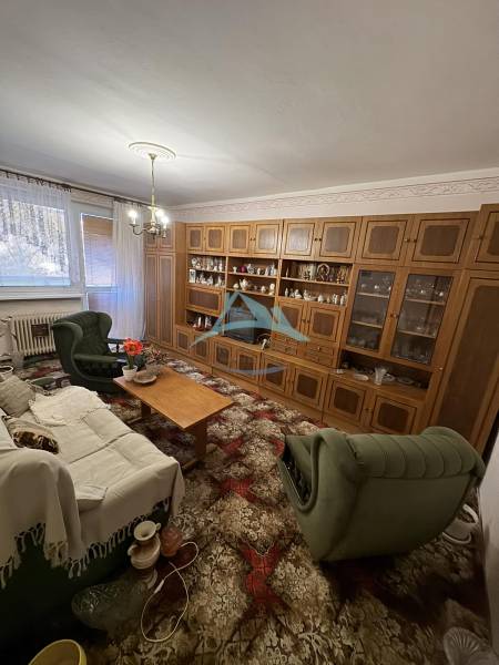 Wohnzimmer in einer 3-Zimmer-Wohnung mit einer Wohnwand aus Holz und grünen Möbeln.