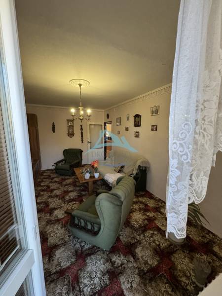 Wohnzimmer in einer 3-Zimmer-Wohnung mit grünen Möbeln und dekorativem Teppich.