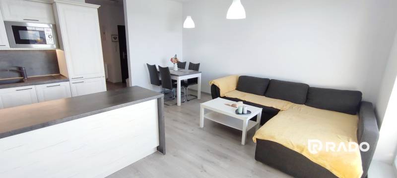 Wohnzimmer in einer 2-Zimmer-Wohnung mit Küche, Sofa und Esstisch, Boden mit Holzdekor.