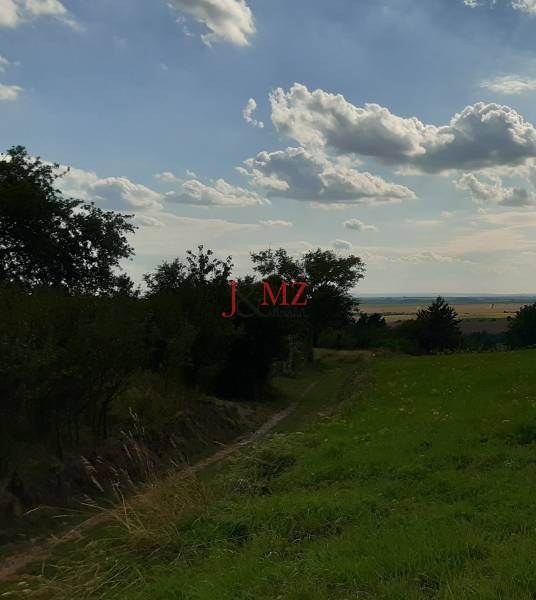 Natürliche Szenerie auf den Erholungsgrundstücken bei Horné Jabloňovce mit Himmel und Bäumen.
