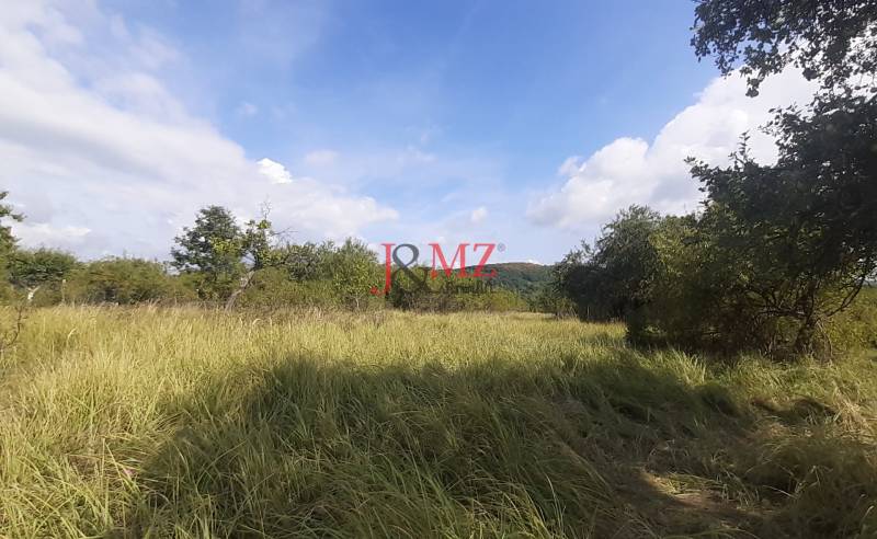 Grasgrundstück auf den Erholungsgrundstücken in Jabloňovce, Horné Jabloňovce, umgeben von Bäumen.