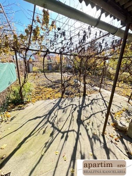 Gärten in der Mittelstraße in Bratislava - Ružinov mit heruntergefallenem Weinlaub.