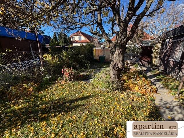 Herbst im Garten in der Mittelstraße in Bratislava - Ružinov, Baum und abgefallenes Laub.