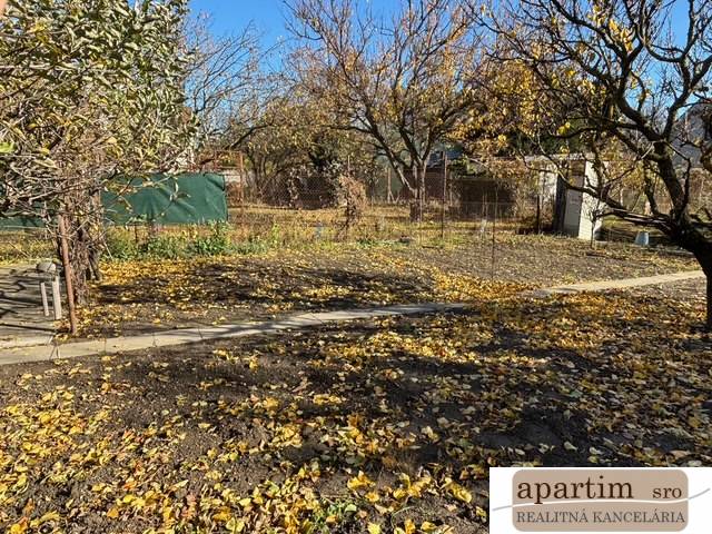 Herbstgarten in Bratislava - Ružinov, Mittel, mit gefallenem Laub und Bäumen.