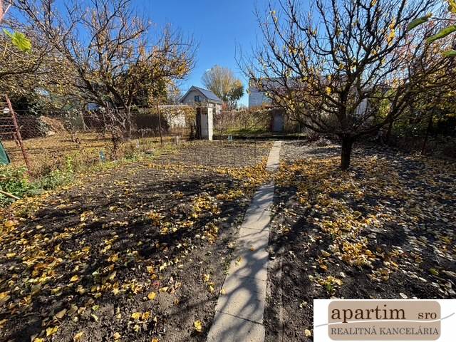 Gärten in der Mittelschule in Bratislava - Ružinov mit einem Weg und abgefallenen Blättern.