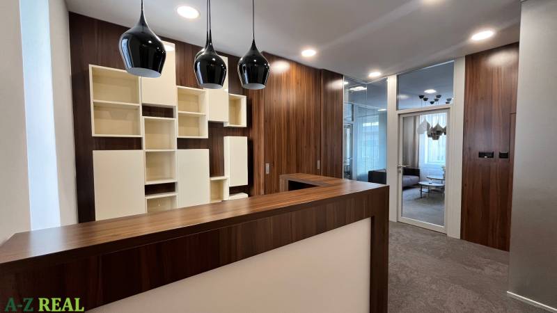 Empfangsbereich mit Holzdekor und moderner Beleuchtung in den Büros in der Radlinského-Straße.