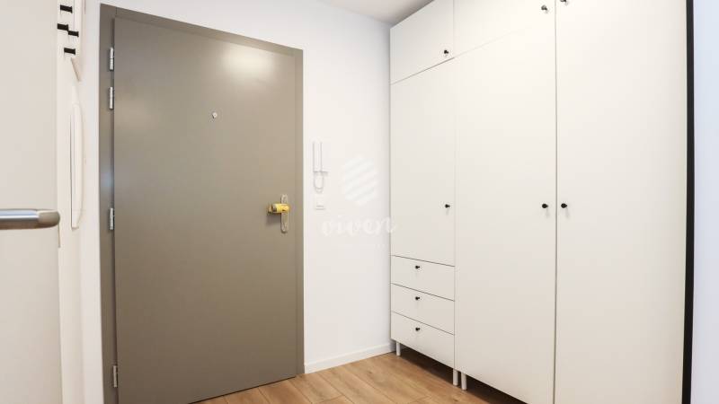 Eingangsbereich in einer Einzimmerwohnung mit weißem Schrank und Boden in Holzoptik.