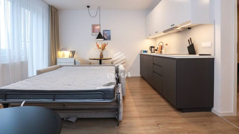 Innenraum einer Einzimmerwohnung mit Küchenzeile, Sofa und Boden in Holzoptik.