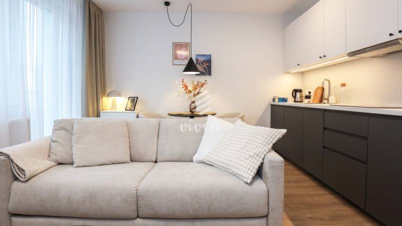 Wohnbereich mit Sofa und Küchenzeile in einer Einzimmerwohnung mit Holzboden.