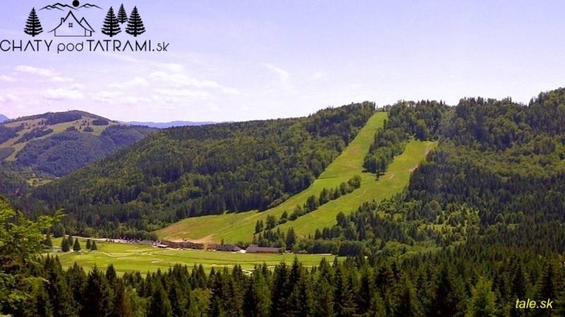 Panorama einer grünen Landschaft mit einer Skipiste in Bystrá, in Tále bei der Hütte.