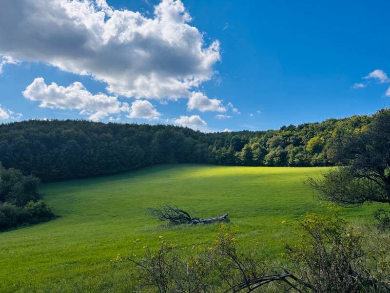 Grüne landwirtschaftliche und forstwirtschaftliche Flächen in Lúčky mit Bäumen und Himmel mit Wolken.