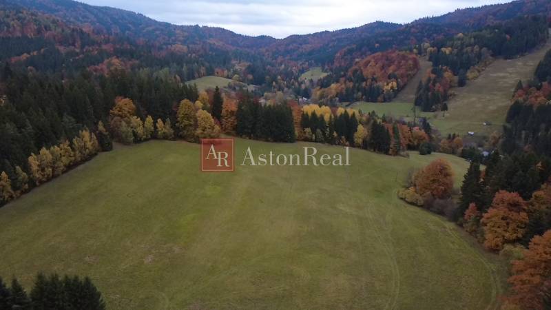 Schöne Herbstwälder umgeben die Erholungsgrundstücke in Lazy pod Makytou auf Čertov.