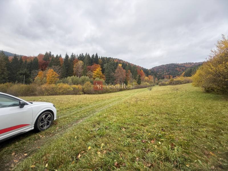 Herbst auf den Erholungsgrundstücken in Čertov, Lazy pod Makytou mit Blick auf die Wälder.