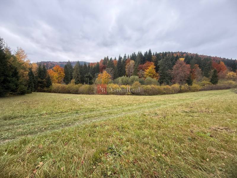 Herbstlandschaft auf den Erholungsgrundstücken in Čertov, Lazy pod Makytou mit den bunten Farben des Waldes.