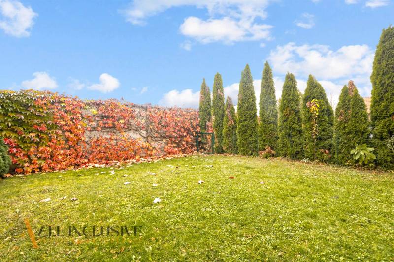 Ein Rasen, umgeben von einer Hecke und Zierbäumen in Dunajská Streda.