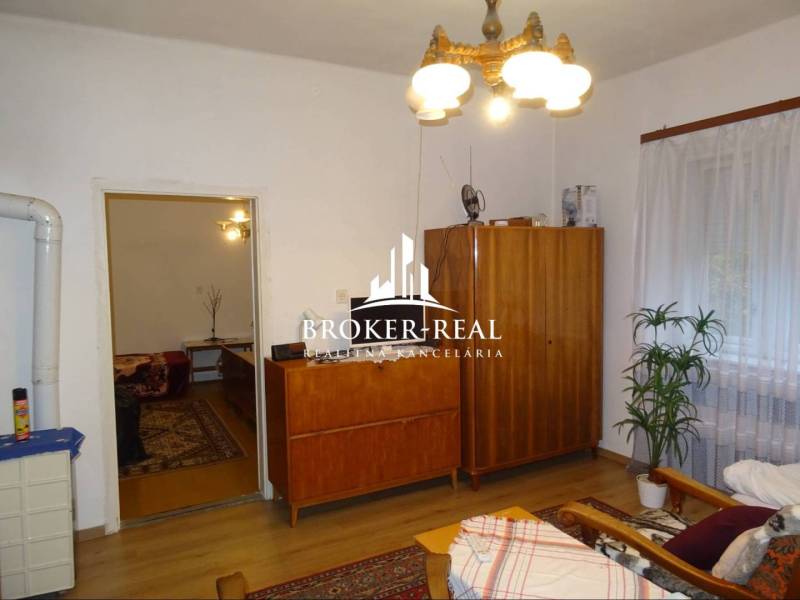 Wohnzimmer in einem Einfamilienhaus mit Holzschränken, Sofa und Pflanze.