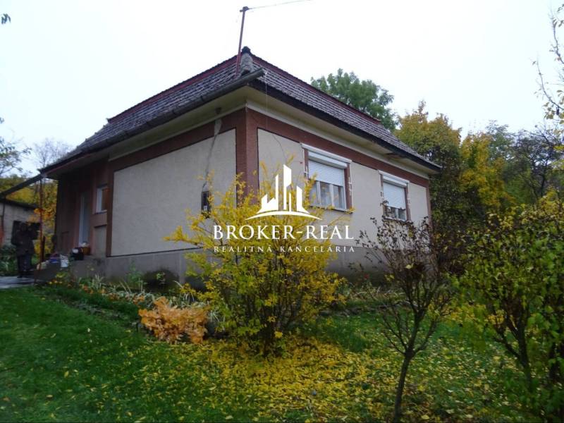 Ein Einfamilienhaus umgeben von Grün und Sträuchern, Fony.