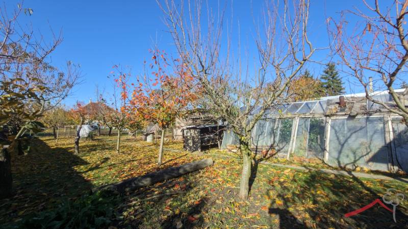 Ein Garten in einem Einfamilienhaus in Vráble mit Obstbäumen und Gewächshäusern im Herbst.