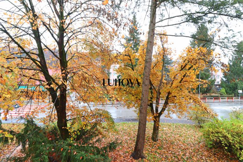 Herbstlandschaft mit Bäumen in der Štefánikova-Straße in Púchov, sichtbar von einer 3-Zimmer-Wohnung.