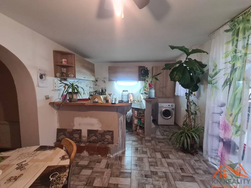 Innenraum eines Einfamilienhauses mit Küche, Zimmerpflanzen und Boden in Holzoptik.