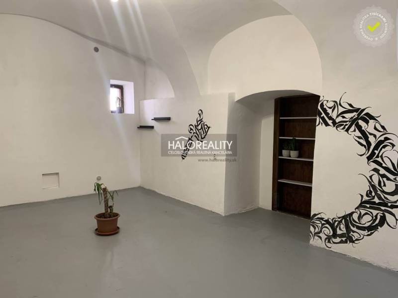 Büros mit weißen Wänden, Blumenmuster und einer kleinen Topfpflanze.