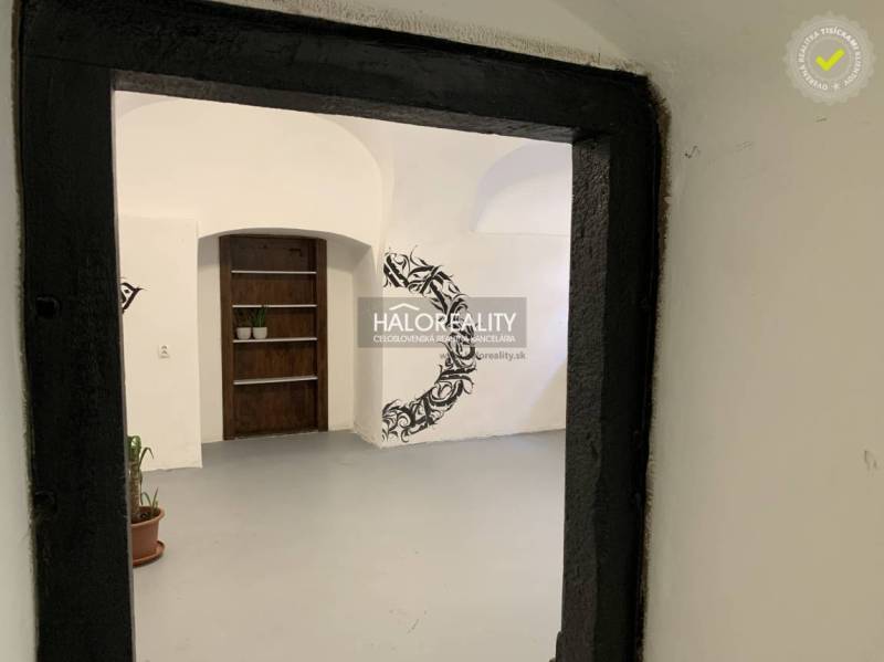 Innenräume von Büros mit weißen Wänden und schwarzen Verzierungen, Pflanzen auf dem Boden.