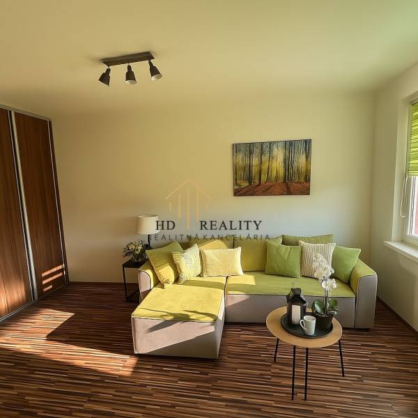 Wohnzimmer einer Einzimmerwohnung mit Sofa, Bild und Holzboden.