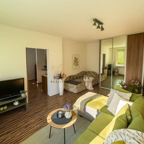 Wohnzimmer in einer Einzimmerwohnung mit Holzboden, grünes Sofa.