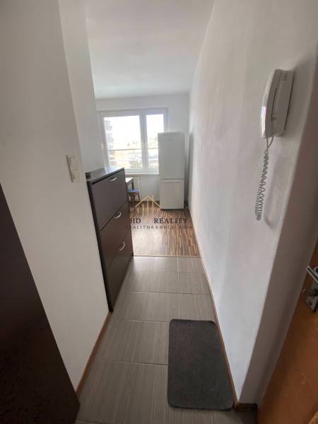 Flur in einer Einzimmerwohnung mit Gegensprechanlage, Schrank und Holzboden.