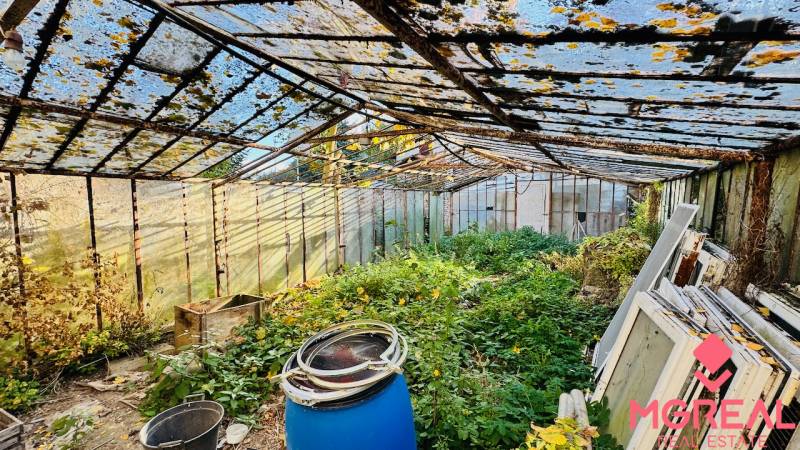 Ein verlassenes Gewächshaus im Bereich eines Einfamilienhauses in Brodzany, überwuchert von Vegetation, alte Konstruktionen.