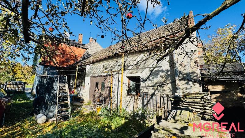 Ein Einfamilienhaus in Brodzany mit Garten und Obstbäumen, blauer Himmel, sonniger Tag.