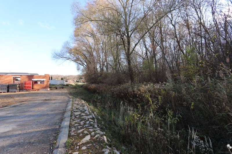 Der Bau eines Einfamilienhauses in Nitra in der Drieňová-Straße, umgeben von Natur und Bäumen.