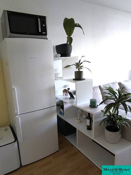 Küchenecke in einer 2-Zimmer-Wohnung mit einem weißen Kühlschrank und Pflanzen auf den Regalen.