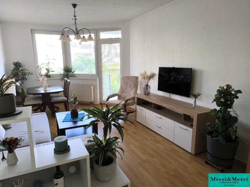 Wohnzimmer in einer 2-Zimmer-Wohnung mit Holzboden und vielen Pflanzen.