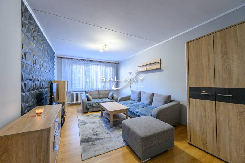 Wohnzimmer mit Sofa, Holzmöbeln und dekorativer Wand in einer 2-Zimmer-Wohnung.