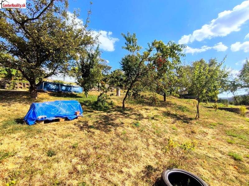 Der Garten bei der Hütte in Partizánske mit Obstbäumen und einem blauen Pool.