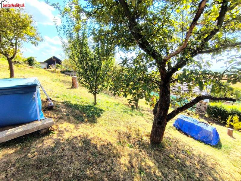 Am Hang gibt es Bäume, einen Rasen, eine Hütte und ein überdachtes Schwimmbad in einem geräumigen Garten.